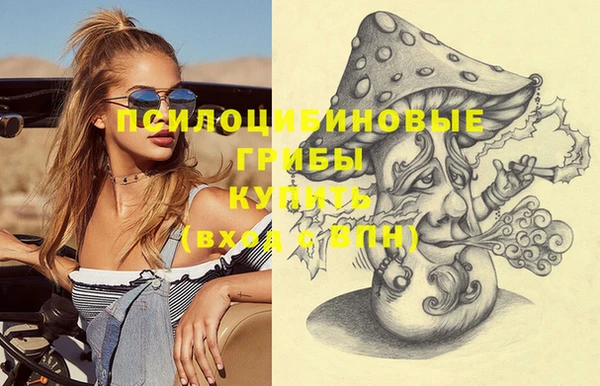 не бодяженный Алзамай