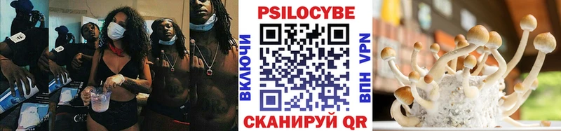 Галлюциногенные грибы Psilocybine cubensis  Фурманов 